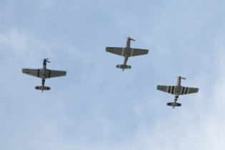 10 Millionth Mustang Celebration